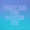 Shoshana Shattenkirk, Kara Cutruzzula, Lindsey Brett Carothers, Shoshana Yavneh Shattenkirk & Shoshi - What Are You Waiting for? - Single